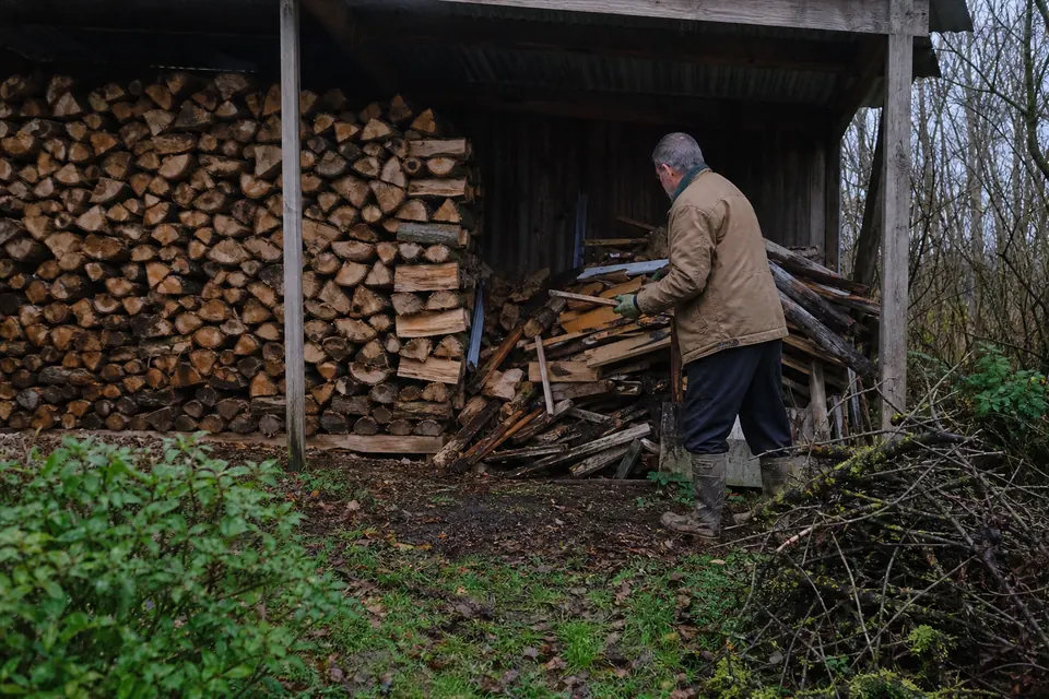 Homme triant du bois près d'un abri de jardin : bûches sèches bien rangées d'un côté, vieilles planches de récupération mises à l'écart de l'autre, tas de branches au premier plan