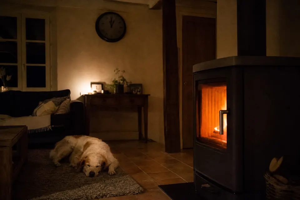 Poêle à bois la nuit avec un feu bas et rougeoyant dans un salon sombre, un chien endormi