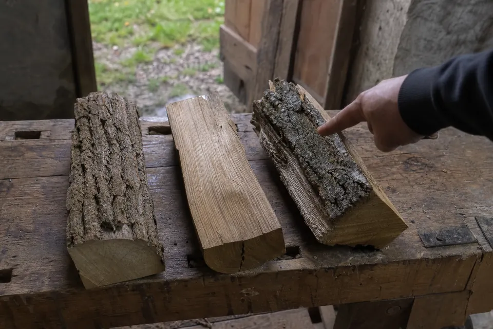 Trois bûches d'essences différentes posées sur un établi en bois