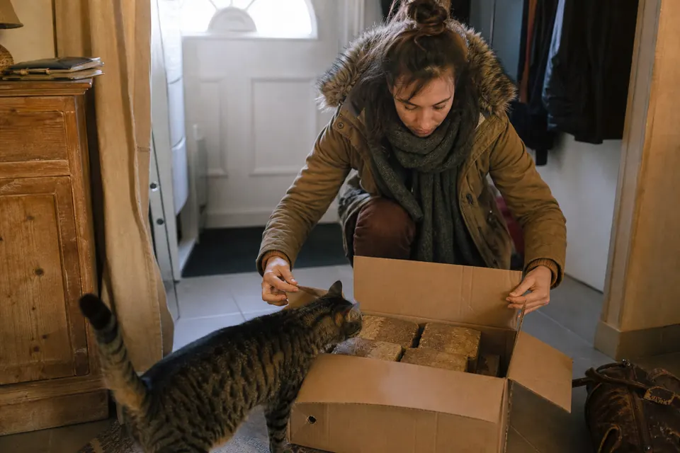 Femme ouvrant un carton de bûches densifiées dans son entrée, un chat curieux à côté