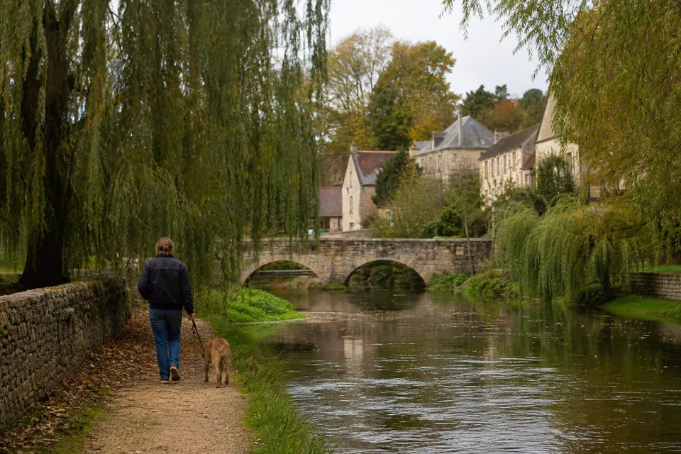 Petite rivière bordée de saules et vieux pont de pierre, avec une promeneuse et son chien sur la berge