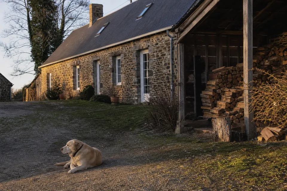 Longère en pierre avec un appentis rempli de bûches et un chien dans la cour